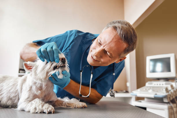 Best Emergency Treatment for Dental Infections or Abscesses in Martinez, GA